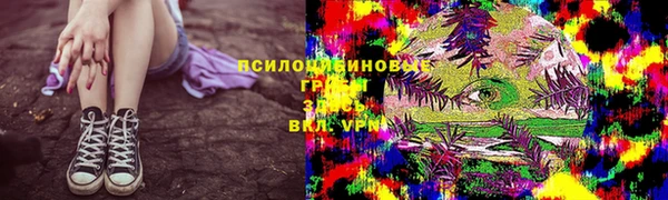 ECSTASY Вяземский